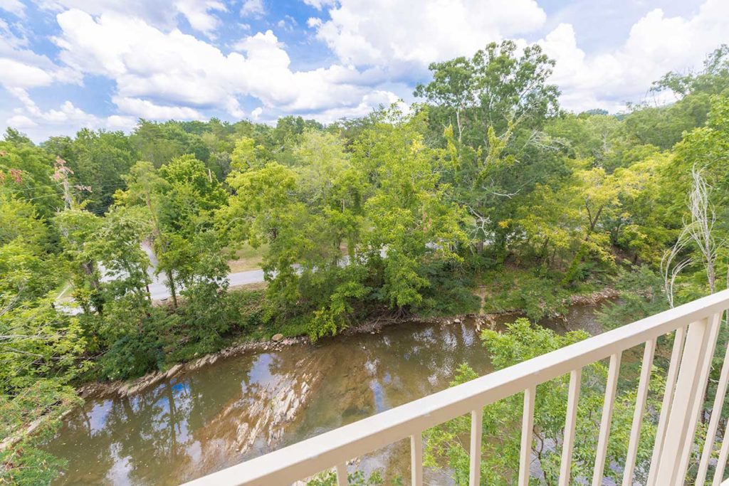 Balcony with view of Pigeon River